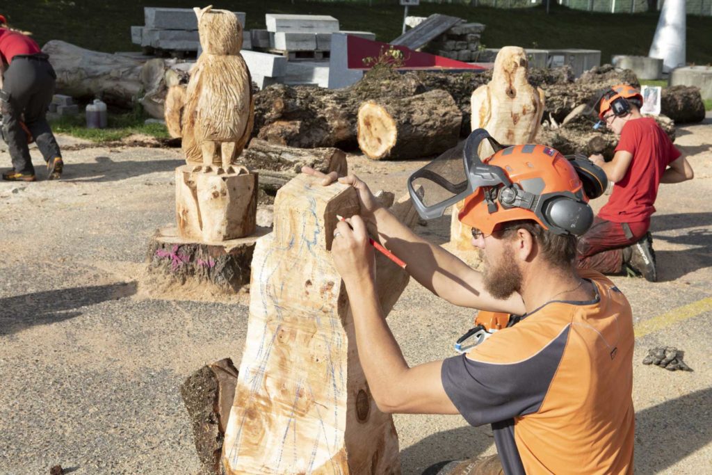 Tramway travaux sculptures troncs d'arbres - dessin d'une femme